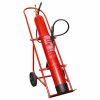 carro extintor co2 10kg - com extintor