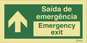 Sinalética Saída de Emergência/Emergency Exit em Texto (Seta para Cima) - E0045