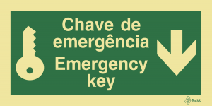 Sinalética Chave de Emergência/ Emergency Key Seta para Baixo - E0512